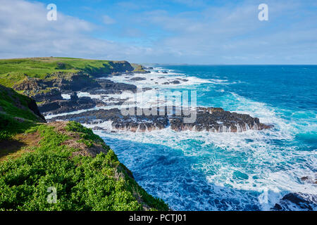 Paesaggio (i Nobbies), in primavera sulla pista di Phillip Island, Melbourne, Victoria, Australia, Oceania Foto Stock