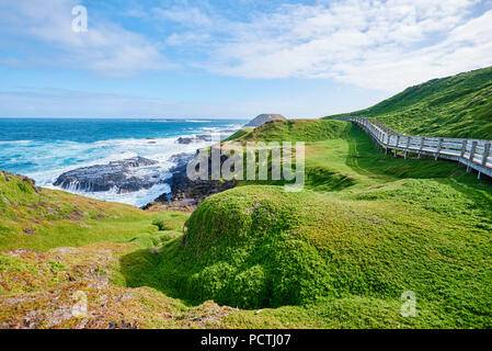 Paesaggio (i Nobbies), in primavera sulla pista di Phillip Island, Melbourne, Victoria, Australia, Oceania Foto Stock