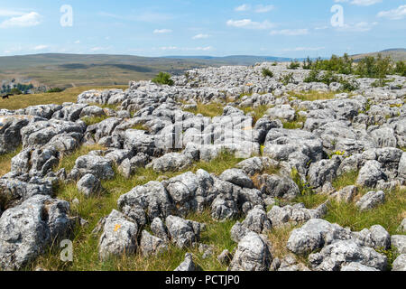 Vista la pavimentazione di pietra calcarea nei pressi del villaggio di Conistone nel Yorkshire Dales National Park Foto Stock