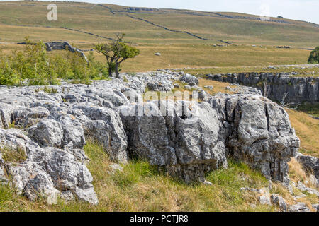 Vista la pavimentazione di pietra calcarea nei pressi del villaggio di Conistone nel Yorkshire Dales National Park Foto Stock