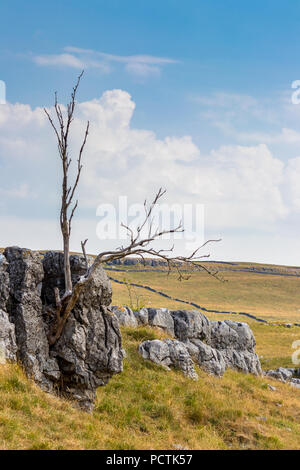 Vista la pavimentazione di pietra calcarea nei pressi del villaggio di Conistone nel Yorkshire Dales National Park Foto Stock