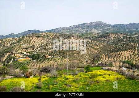 Per i frutteti e uliveti dal balcone del Adarve nel quartiere di la villa nella città di Priego de Cordoba in Andalusia in Spagna meridionale Foto Stock