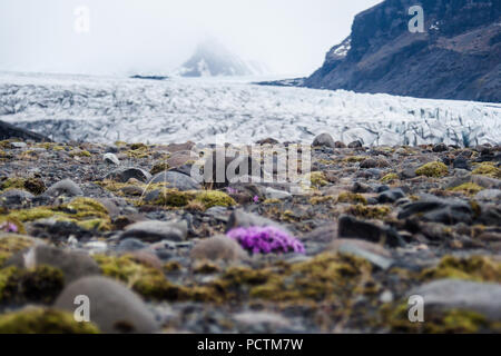 Montagne del ghiacciaio dell'Islanda in primavera Foto Stock