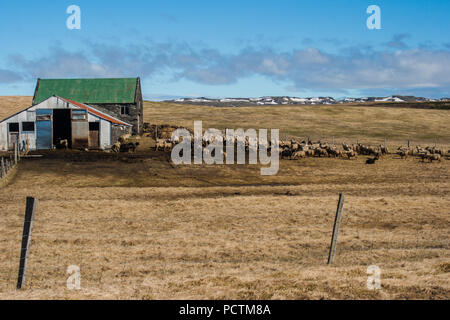 Cottage in stile scandinavo in Islanda. Bellissimo paesaggio sfondo Foto Stock