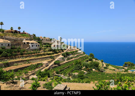 Banyalbufar cittadina sulla costa ovest di Maiorca, SPAGNA Foto Stock