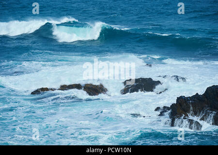 Paesaggio (i Nobbies), in primavera sulla pista di Phillip Island, Melbourne, Victoria, Australia, Oceania Foto Stock