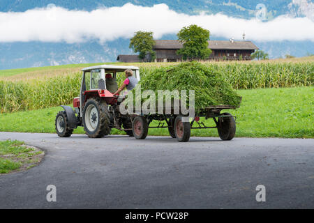 Austria, Tirolo, Valle Alpbach, trattore di fresco con erba rasata. Foto Stock