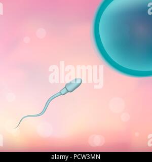 Sperma umano e uovo, illustrazione. Foto Stock