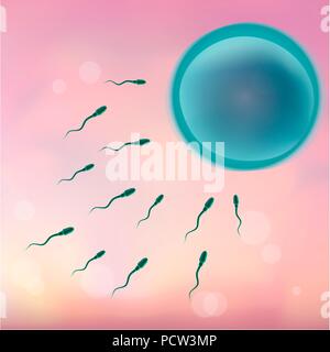 Sperma umano e uovo, illustrazione. Foto Stock