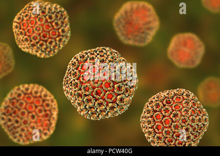 La febbre della valle del Rift, particelle di virus, illustrazione del computer. Questa particella di virus consiste di un RNA (acido ribonucleico) genoma racchiuso in un capside proteico, che è a sua volta circondato da un inviluppo di glicoproteina. Febbre della valle del Rift si verifica in Africa e di infettare gli esseri umani, bovini, pecore, roditori e altre specie. Esso è trasmesso da insetti, soprattutto di zanzare e provoca brividi, febbre, mal di testa e congiunte e dolore muscolare. Raramente è fatale, ma può causare emorragie retiniche che può portare alla compromissione. Foto Stock