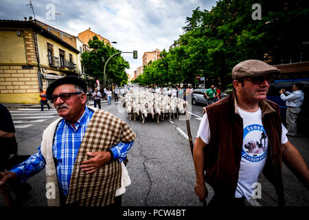 Grande gregge di pecore transiti attraverso le strade della città di Soria durante la transumanza percorsi che avviene nella tarda primavera in Spagna Foto Stock