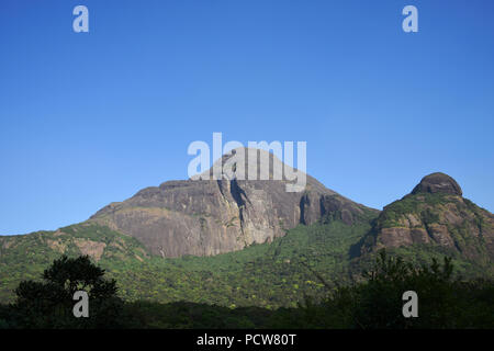 'Viste rinfrescanti di Agasthyarkoodam Riserva della Biosfera" - Vista delle colline Agasthya in serata. Foto Stock