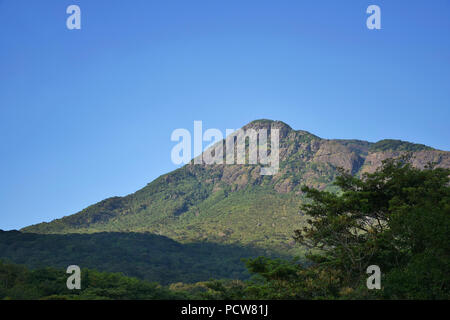 'Viste rinfrescanti di Agasthyarkoodam Riserva della Biosfera" - Vista delle colline Agasthya. Foto Stock