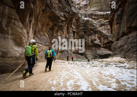 Escursioni al Parco Nazionale Zion il famoso canyon slot, si restringe in inverno richiede un dry suit e vestiti caldi. È molto meno affollato in estate. Foto Stock