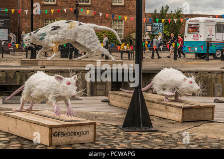 Celebrazione delle navi cat Albert Dock Liverpool Regno Unito Foto Stock