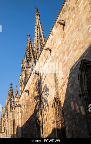 L'ombra di una palma sulla parete ovest della cattedrale di Barcellona, Spagna Foto Stock