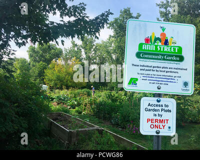 Una comunità giardino, con terreni privati coltivare per coltivare ortaggi e fiori, al culmine della stagione estiva, Ontario, Canada, Foto Stock