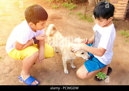 Due giovani ragazzi giocare con il loro cane Foto Stock