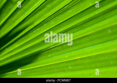 Più impianti di diversa configurazione e carta da parati Foto Stock