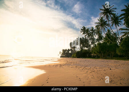 Tropical idilliaco tramonto sulla spiaggia con palme vicino a Weligama a Sri Lanka. . Foto Stock