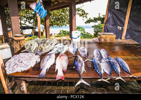 Varie il pesce appena pescato al contatore di legno su Weligama street market , Sri Lanka. Foto Stock