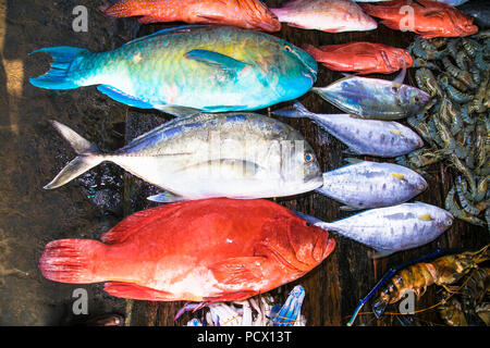 Varie il pesce appena pescato al contatore di legno su Weligama street market , Sri Lanka. Foto Stock