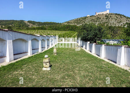 Giardino al di sopra della cantina, in background Divci Hrady Castello, Pavlov, Palava regione Moravia del Sud, Repubblica Ceca Foto Stock