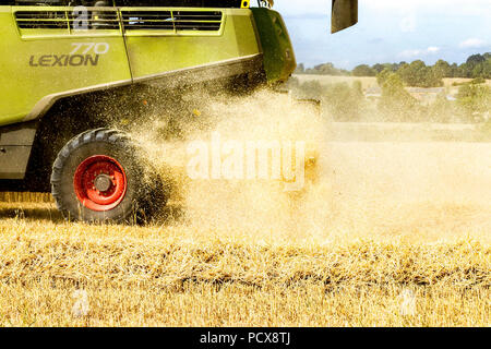 Grande Brington, Northamptonshire, Regno Unito. 4 agosto 2018. Azienda agricola le mani la raccolta con una Claas 770 Lexton harvester lavorando duramente durante il caldo pomeridiano a tagliare il campo di grano, rendendo la maggior parte della calda estate meteo. Credito: Keith J Smith./Alamy Live News Foto Stock