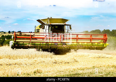 Grande Brington, Northamptonshire, Regno Unito. 4 agosto 2018. Azienda agricola le mani la raccolta con una Claas 770 Lexton harvester lavorando duramente durante il caldo pomeridiano a tagliare il campo di grano, rendendo la maggior parte della calda estate meteo. Credito: Keith J Smith./Alamy Live News Foto Stock