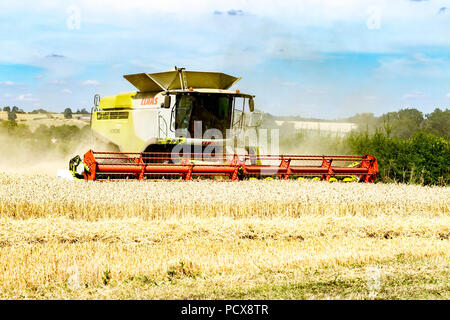 Grande Brington, Northamptonshire, Regno Unito. 4 agosto 2018. Azienda agricola le mani la raccolta con una Claas 770 Lexton harvester lavorando duramente durante il caldo pomeridiano a tagliare il campo di grano, rendendo la maggior parte della calda estate meteo. Credito: Keith J Smith./Alamy Live News Foto Stock