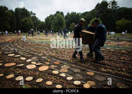 Tepotzotlan, Messico. Il 4° agosto 2018. Le persone fanno un 2.500 mq di tappeto di fiori durante la fiera dei fiori 2018 in Tepotzotlan, Messico, su Agosto 4, 2018. Credito: Miguel Tovar/Xinhua/Alamy Live News Foto Stock