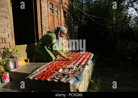 Srinagar, Indiano-controllato del Kashmir. Il 4° agosto 2018. Una donna si asciuga i pomodori e le melanzane alla periferia di Srinagar, capitale estiva di Indiano-Kashmir controllata, su Agosto 4, 2018. Credito: Javed Dar/Xinhua/Alamy Live News Foto Stock