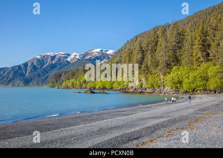 Persone su bech a Lowell punto sulla risurrezione Bay di Seward Alaska Foto Stock