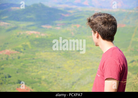 Giovane maschio con capelli castani con la schiena rivolta verso la telecamera guardando il Canyon di Waimea in Kauai, Hawaii, Stati Uniti. Foto Stock