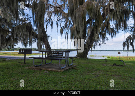 Carney Isola Area di Conservazione in Ocklawaha, Florida USA Foto Stock