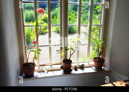 La ricostruzione di una finestra in stile vittoriano di un paese di lingua inglese cottage - Giovanni Gollop Foto Stock