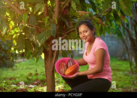 Cacao in tema di raccolta. Ragazza giovane azienda fresco baccelli di cacao Foto Stock