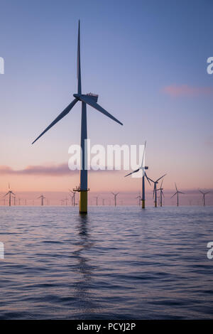 Sulle turbine eoliche offshore su Walney Offshore Wind Farm all'alba nel mare d'Irlanda, Regno Unito Foto Stock