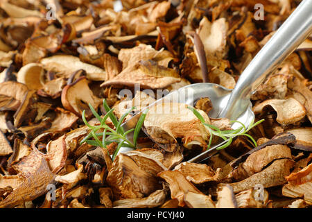 Scoop di funghi secchi su sfondo di funghi - close up Foto Stock