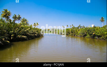 Tropical fiume scorre attraverso gli alberi di mangrovie nel nord di Palawan, Filippine. Foto Stock