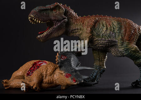 Tirannosauro con un corpo triceratops nelle vicinanze su sfondo scuro Foto Stock