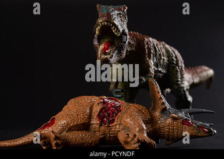 Tirannosauro con un corpo triceratops nelle vicinanze su sfondo scuro Foto Stock