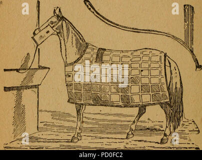 "Gleason la cavallo libro. Il solo lavoro autorizzato dall America's re di domatore dei cavalli, comprendente la storia, allevamento, formazione, rottura, acquisto, alimentazione toelettatura, ferratura, doctoring, raccontando età e cure generali del cavallo" (1892) Foto Stock