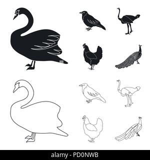 Crow, struzzo, pollo, Peacock. Gli uccelli set di icone di raccolta in nero,Outline stile simbolo vettore illustrazione stock . Illustrazione Vettoriale