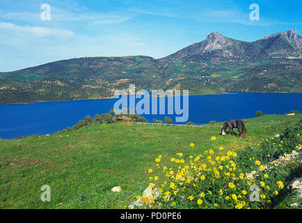 El Gastor serbatoio. Sierra de Grazalema e riserva naturale, la provincia di Cadiz Cadice, Andalusia, Spagna. Foto Stock