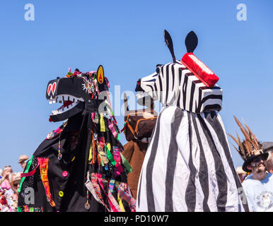 La pantomima cavalli pronti per il Sidmouth Horse Trials, durante la Settimana della Musica Folk di 2018. Foto Stock