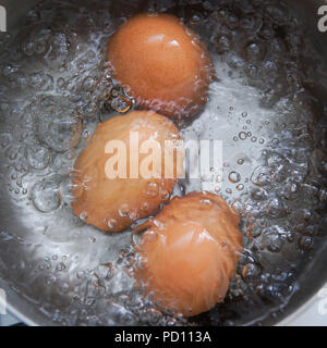 Le uova in acqua bollente Foto Stock