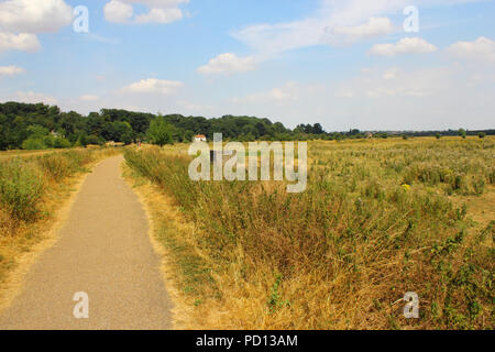 Hartham comune, Hertford nel Hertfordshire. Sun scorched durante l'estate del 2018. Foto Stock