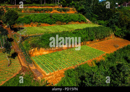 Close up vista aerea dalla funivia di Dalat Foto Stock