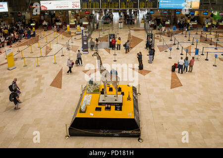 Vista aerea oltre la sala interna e il gate di partenza ingresso al gate di imbarco in aeroporto di Los Rodeos, Tenerife Nord, TFN, La Laguna, Tenerife, Cana Foto Stock